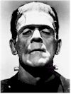 frankenstein_monster_boris_karloff.jpg (37543 Byte)